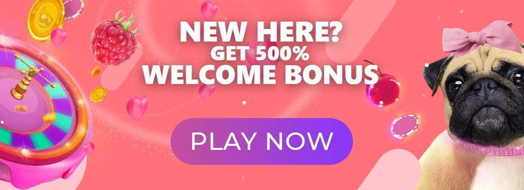Spin Pug Casino No Deposit Bonus Codes